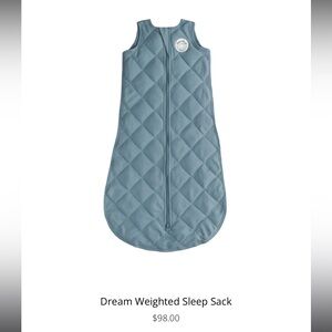 Dreamland Baby Weighted Sleep Swaddle/Sack